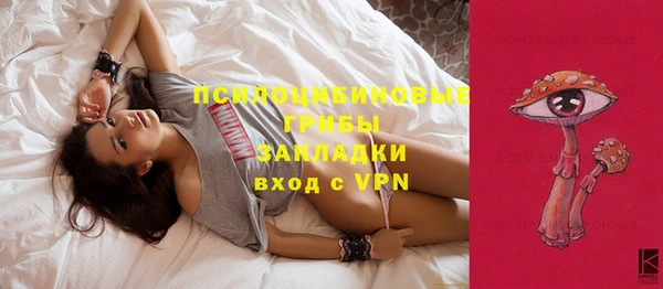 гидра Алзамай