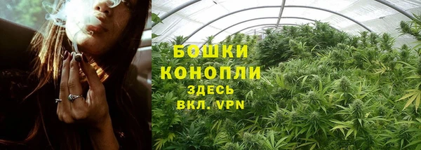 гидра Алзамай
