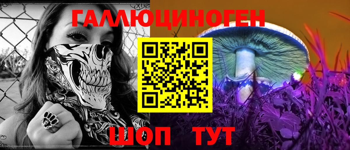 Галлюциногенные грибы прущие грибы Нижний Новгород