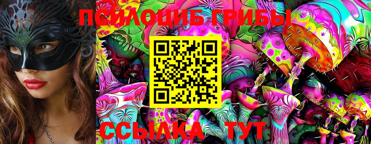 Галлюциногенные грибы Psilocybe  Вход с VPN  Нижний Новгород 
